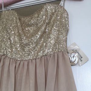 Forever 21 Sequin Chiffon Hi-Low Dress